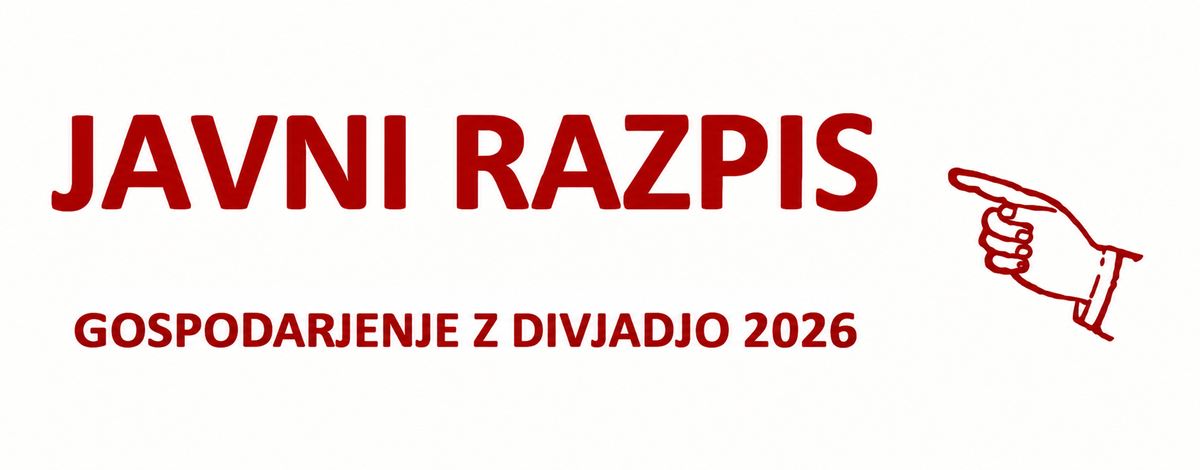divjad 2026
