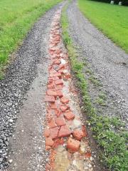 IMG_20190622_182005_resized_20190624_075935711