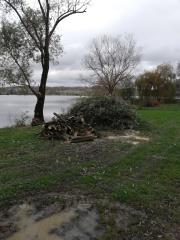 IMG_20191106_130528_resized_20191108_104649246