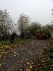 IMG_20191108_092707_resized_20191108_104648183