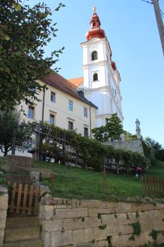 IMG_2491